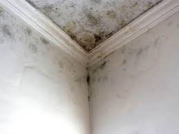 Asbestos and Lead Testing During Mold Inspection in Rose Hills, CA