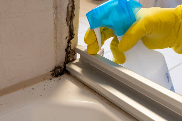 Best Mold Removal for HVAC Installations  in Rose Hills, CA