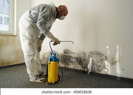 Why You Should Choose Our Mold Remediation Services in Rose Hills, CA